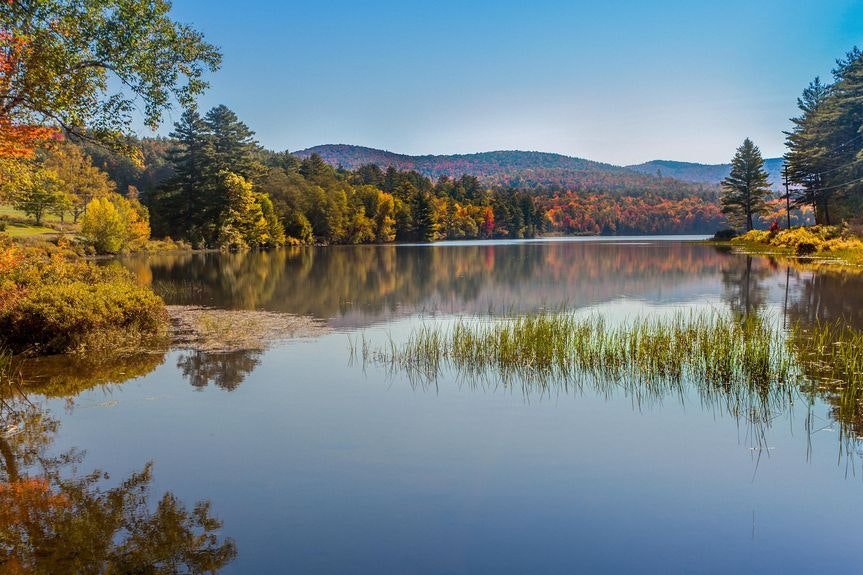 New Hampshire Tenant-Landlord Law