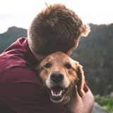 How to Handle Tenants with Pets and Service and Emotional Support Animals