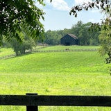 Kentucky Squatters’ Rights & Adverse Possession Laws - 2024