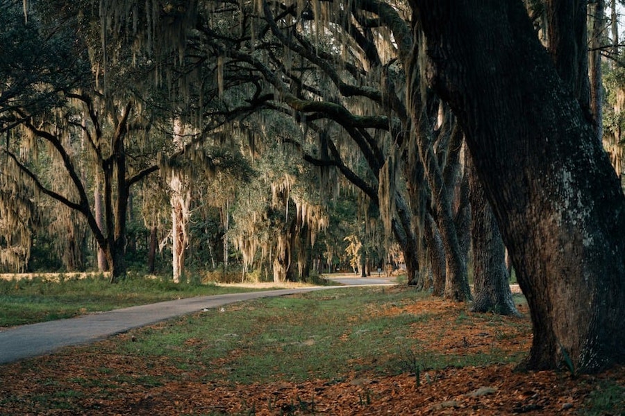 South Carolina Rent Control Laws in 2024