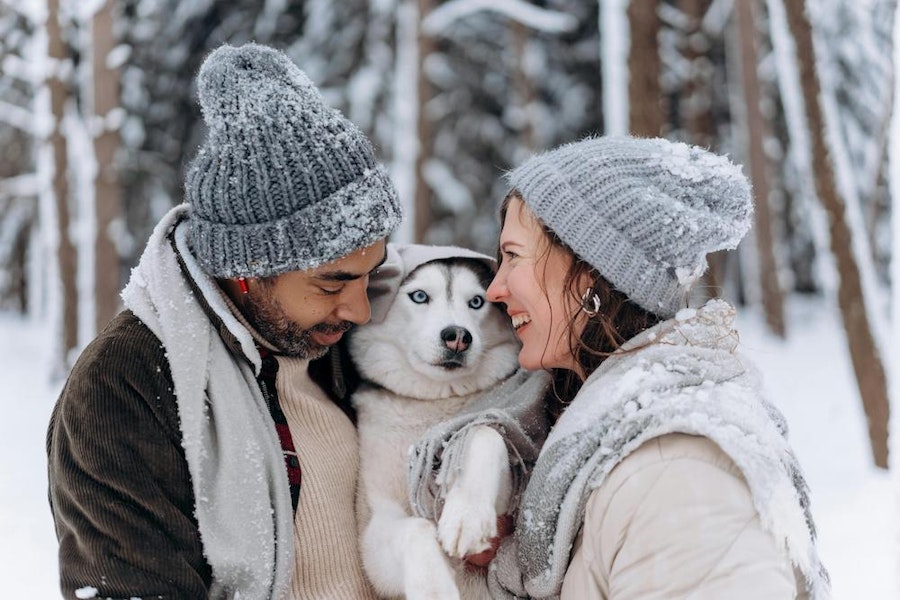 Alaska Pet Rent Laws in 2025: A Guide for Landlords