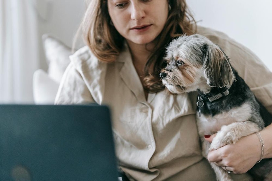 Georgia Pet Rent Laws in 2025: A Guide for Landlords